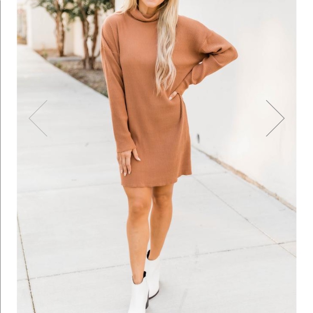 Pink Lily Turtleneck Dress